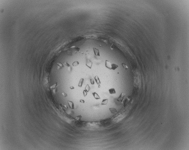 X0000074260573200609151804