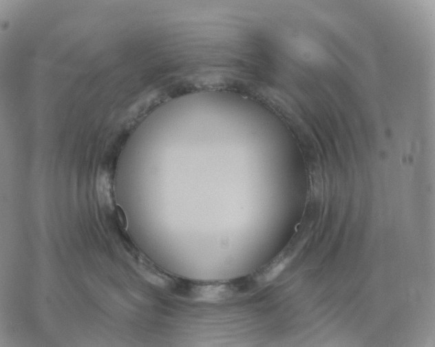 X0000074260575200609151804