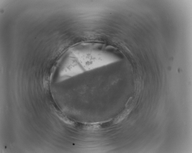 X0000074260576200609151804