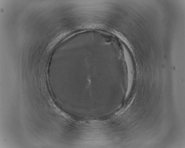 X0000074260577200609151803