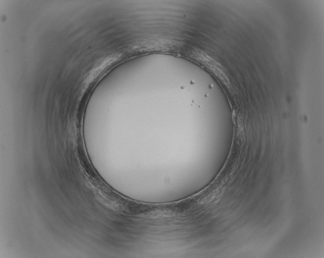 X0000074260578200609151803