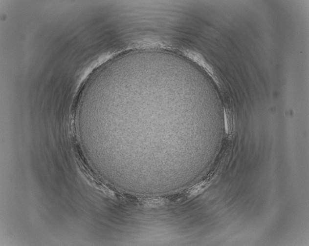 X0000074260579200609151803