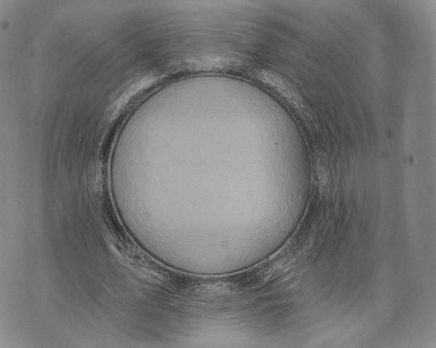 X0000074260583200609151803