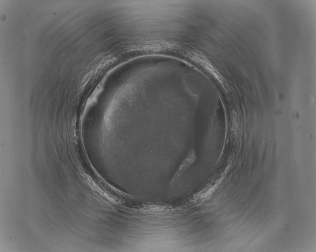 X0000074260585200609151803