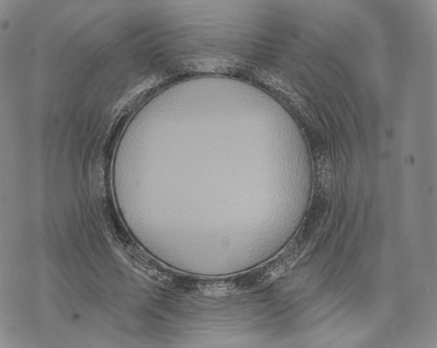 X0000074260587200609151803