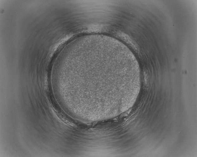 X0000074260588200609151803