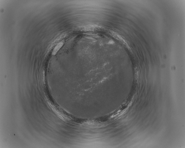 X0000074260589200609151803