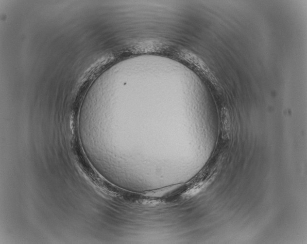 X0000074260590200609151803