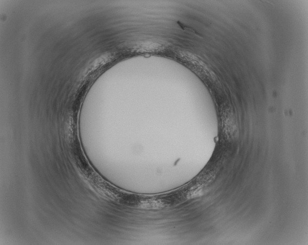 X0000074260591200609151803