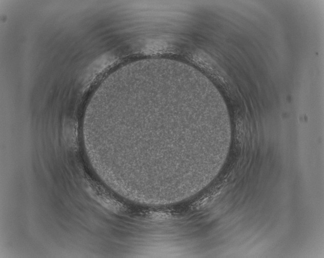 X0000074260592200609151803