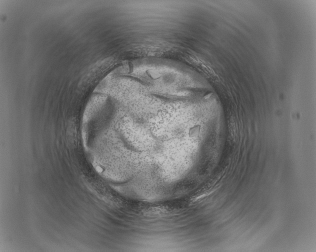 X0000074260594200609151803