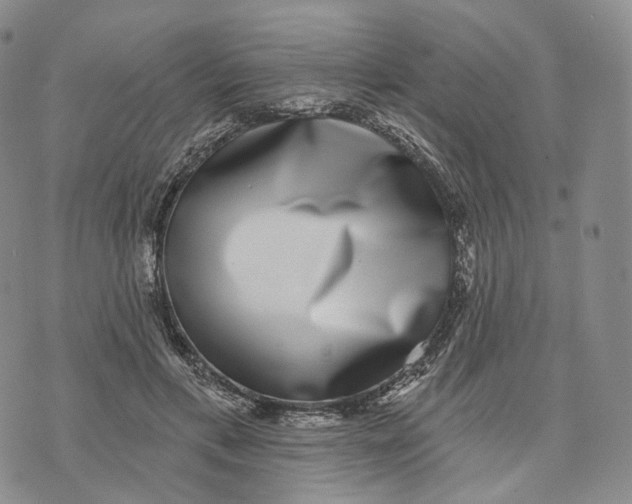 X0000074260597200609151803