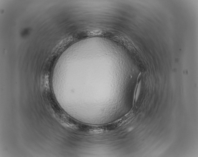 X0000074260598200609151803