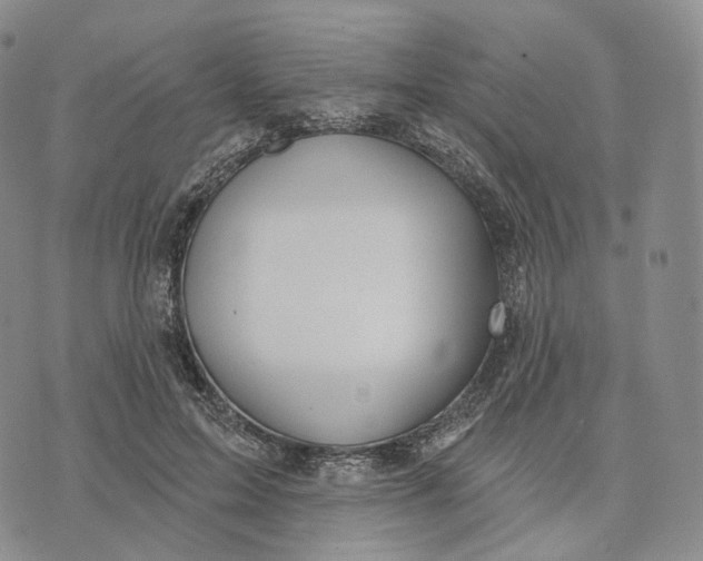 X0000074260599200609151803