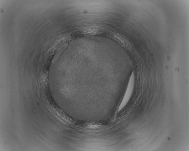 X0000074260601200609151803