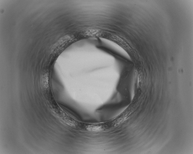 X0000074260602200609151803