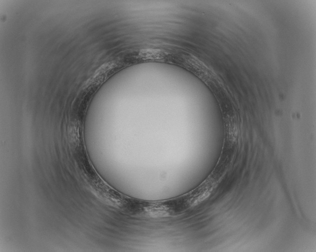 X0000074260603200609151803