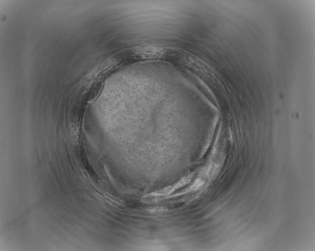 X0000074260604200609151803