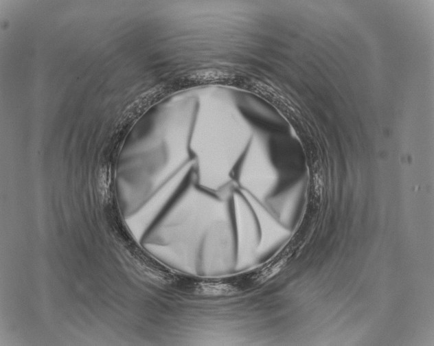 X0000074260605200609151803