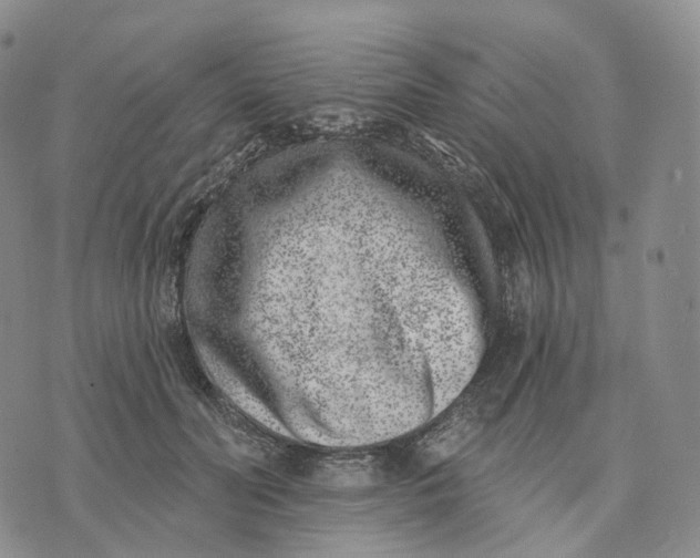 X0000074260606200609151803