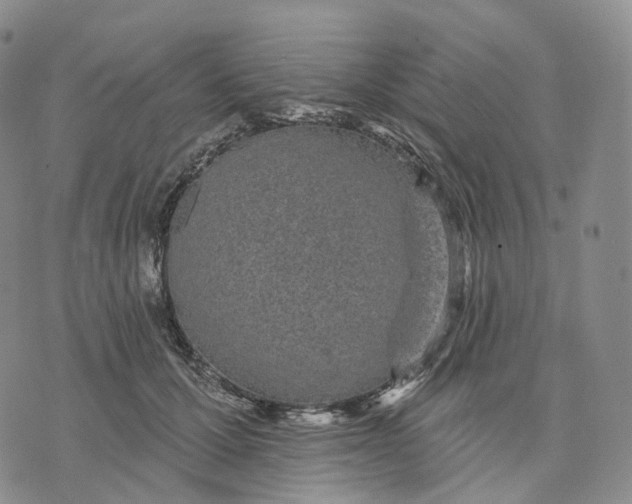 X0000074260607200609151803