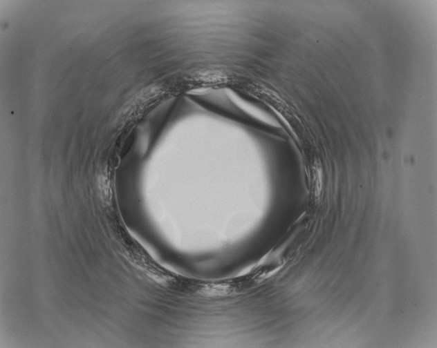 X0000074260609200609151803