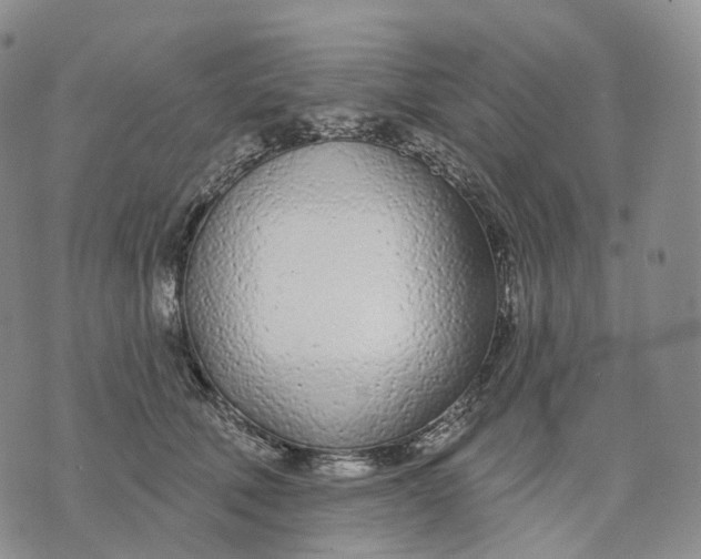 X0000074260610200609151803