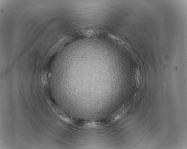 X0000074260611200609151803