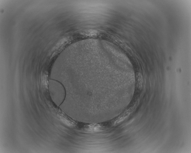 X0000074260612200609151803