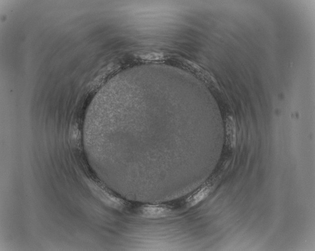 X0000074260614200609151803