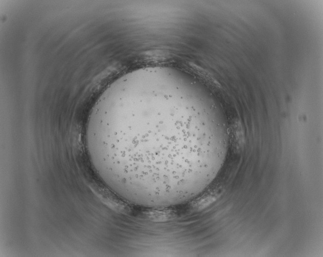 X0000074260615200609151803