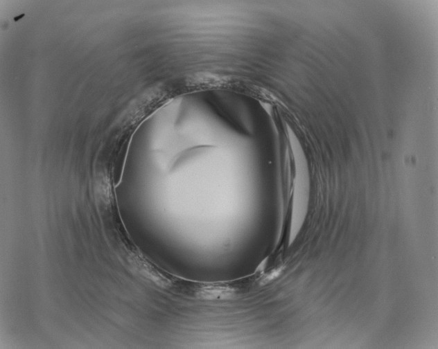 X0000074260617200609151803