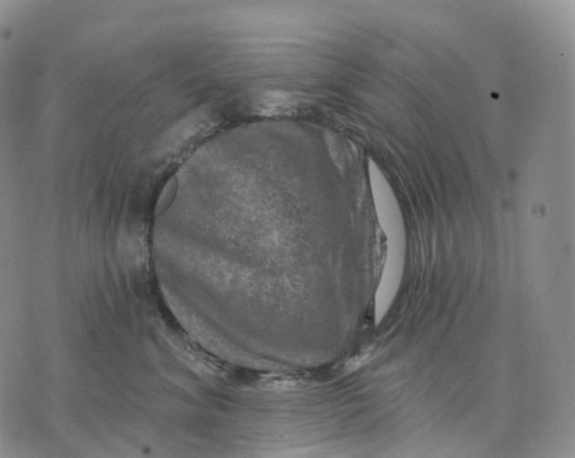 X0000074260620200609151803