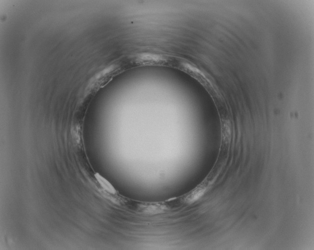 X0000074260621200609151803