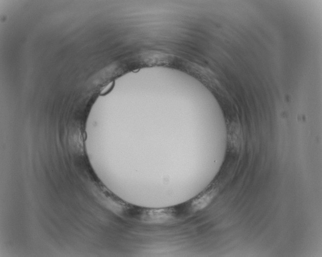 X0000074260622200609151803