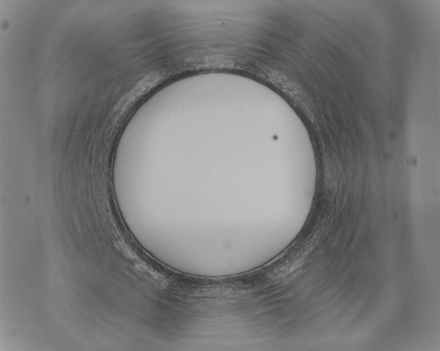 X0000074260625200609151802