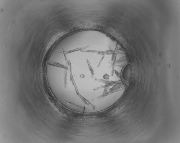 X0000074260626200609151802