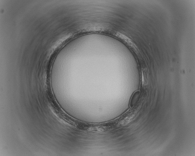 X0000074260627200609151802