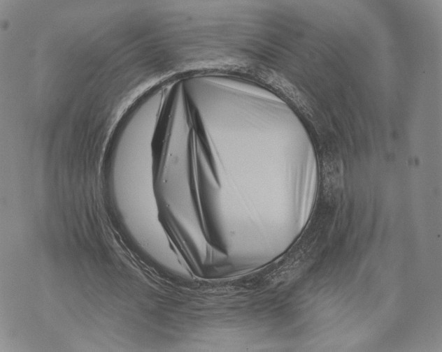 X0000074260628200609151802