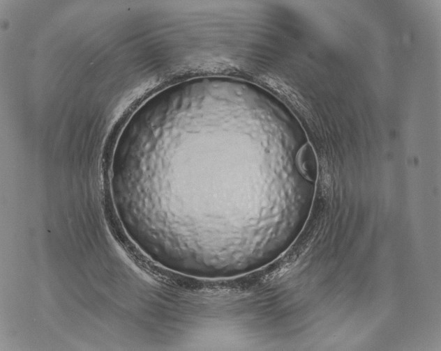 X0000074260630200609151802