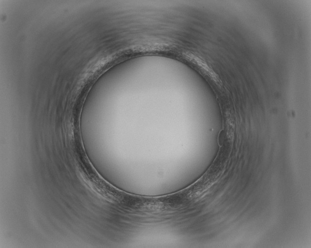 X0000074260631200609151802