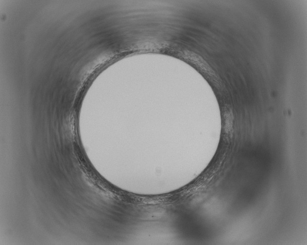 X0000074260632200609151802