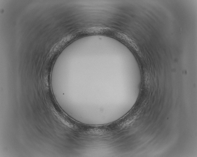 X0000074260633200609151802