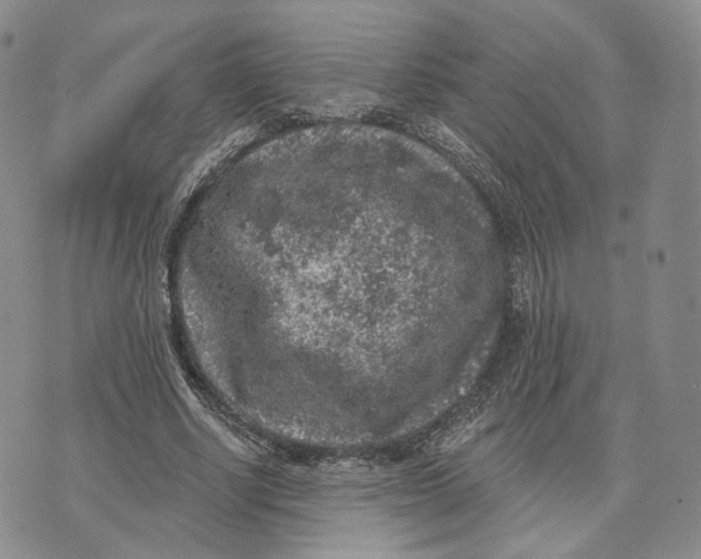 X0000074260634200609151802