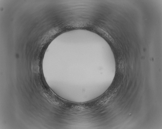 X0000074260635200609151802