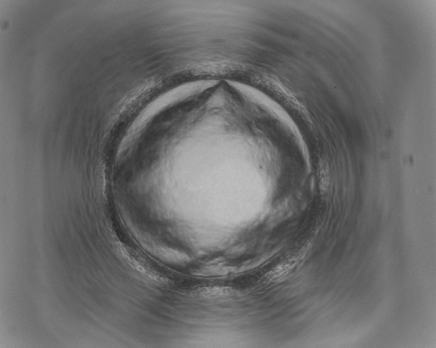 X0000074260637200609151802