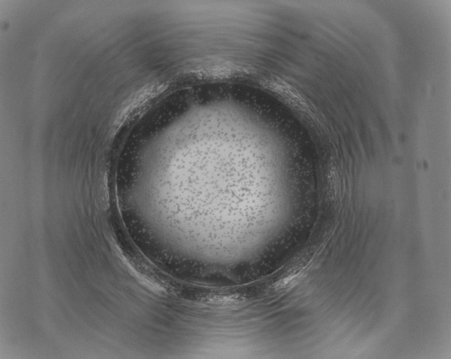 X0000074260638200609151802