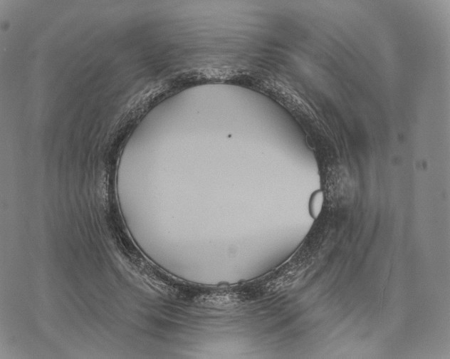 X0000074260639200609151802