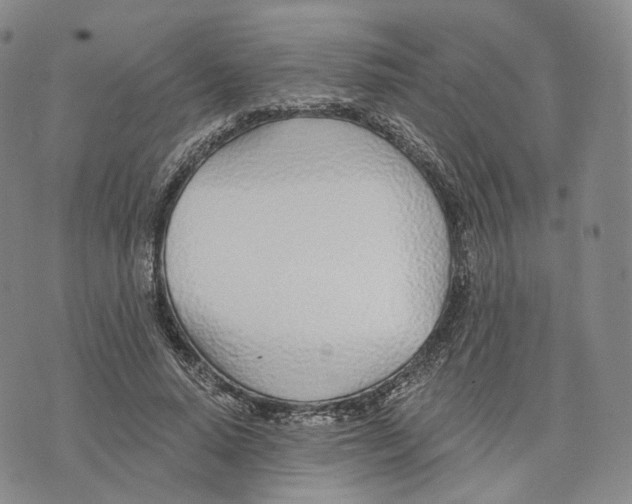 X0000074260640200609151802