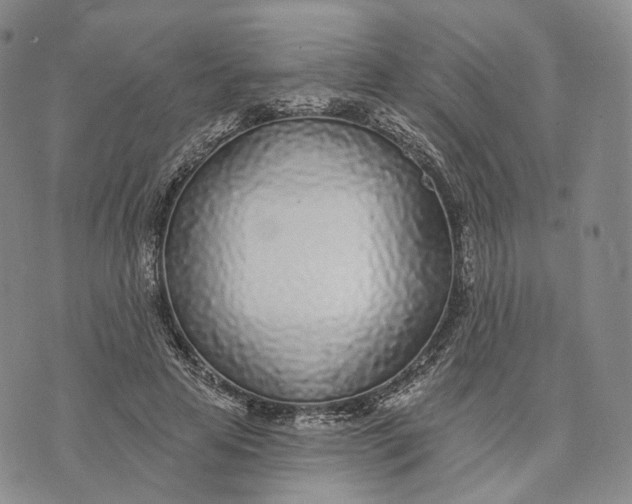 X0000074260641200609151802